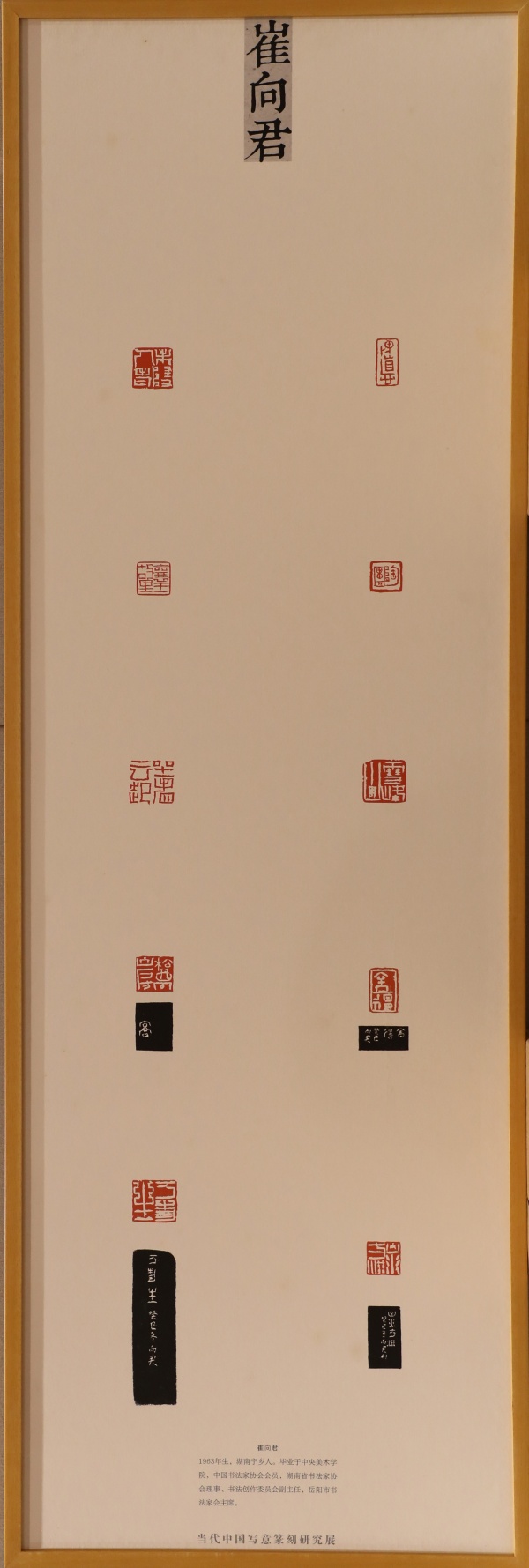 崔向君(1).jpg