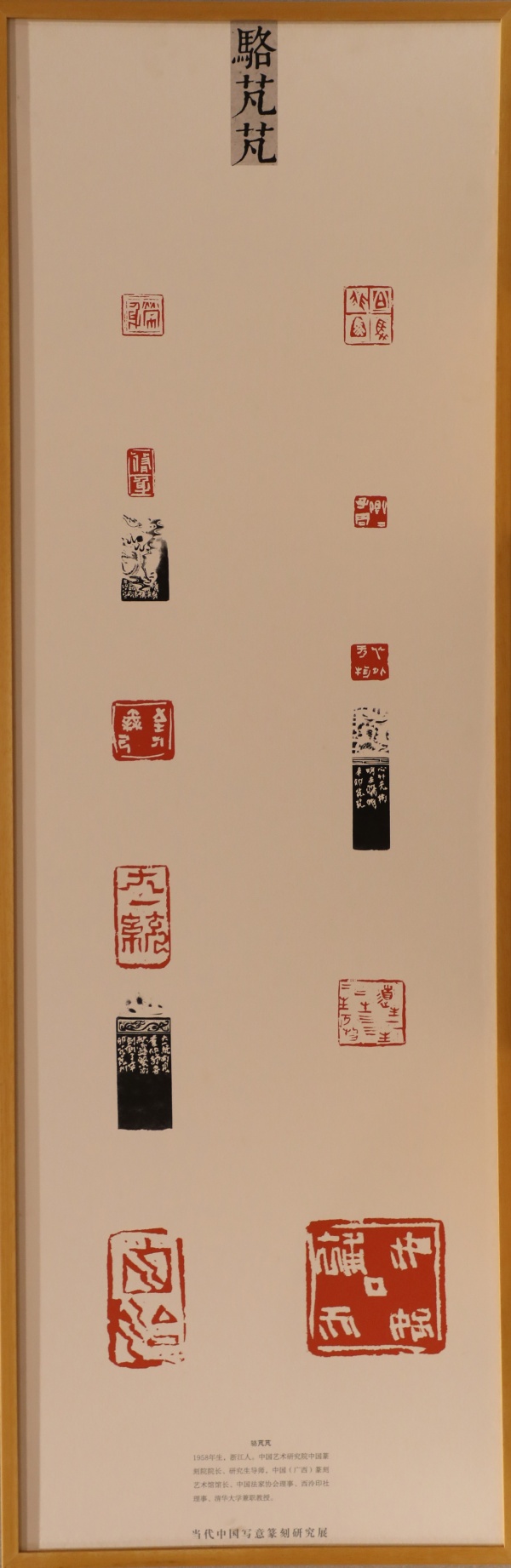 骆芃芃(1).jpg