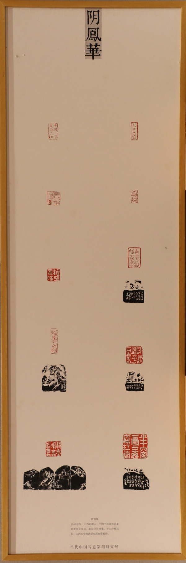 阴凤华(1).jpg
