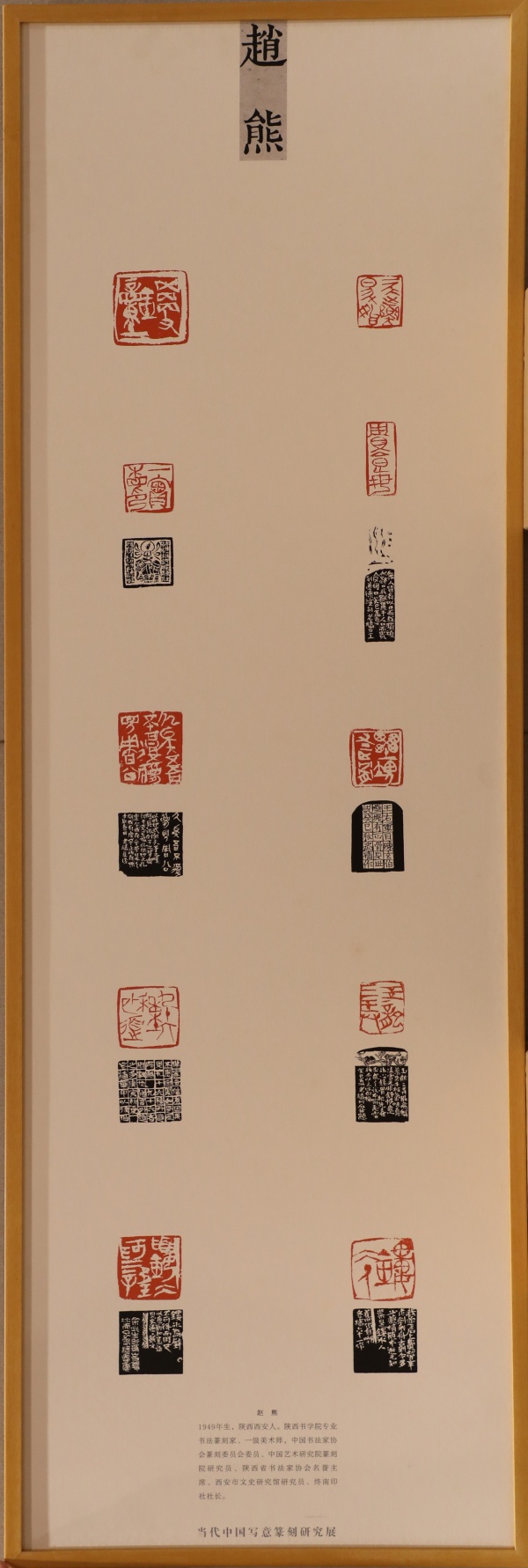 赵熊(1).jpg