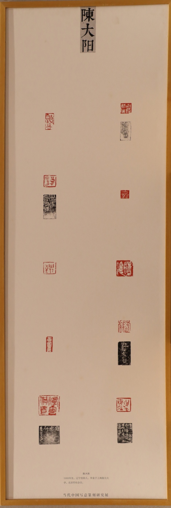陈大阳(1).jpg