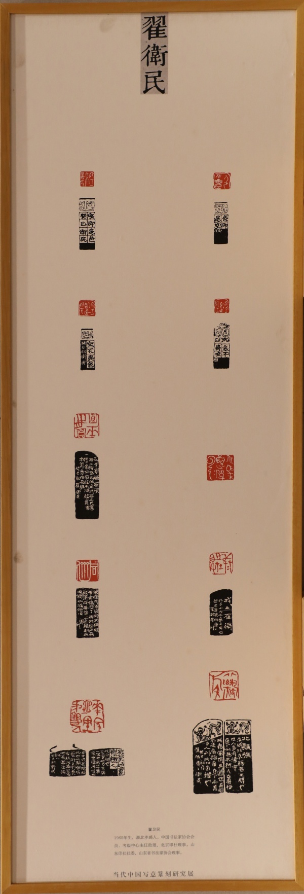 翟卫民(1).jpg