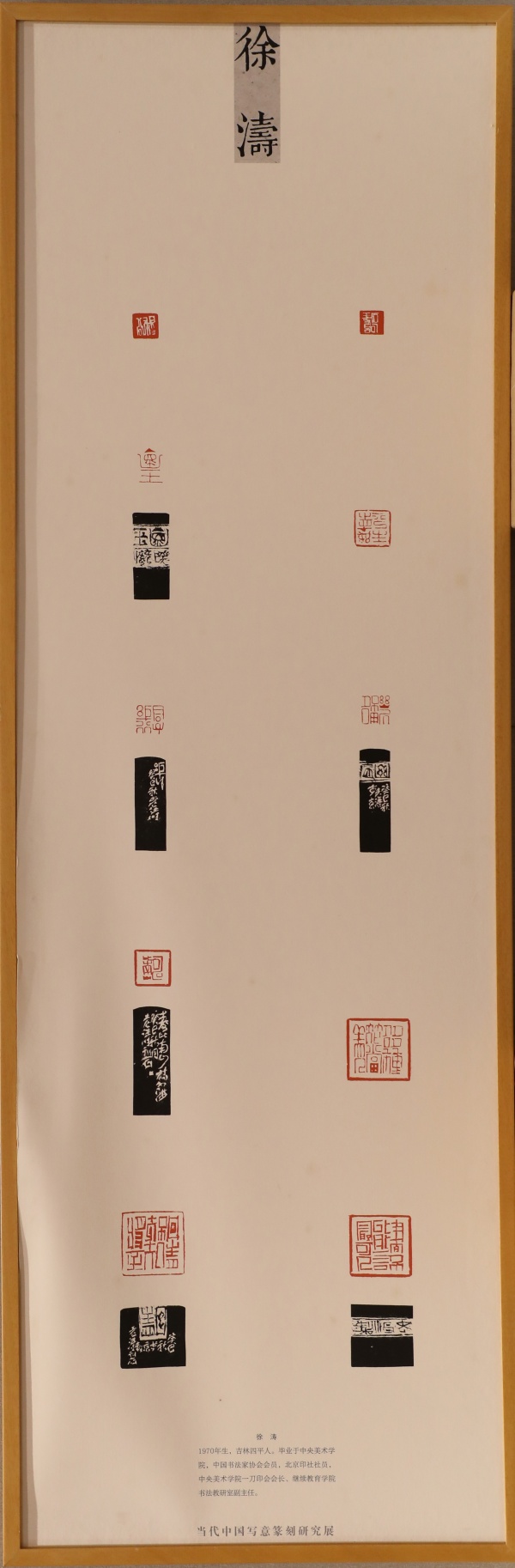 徐涛(1).jpg