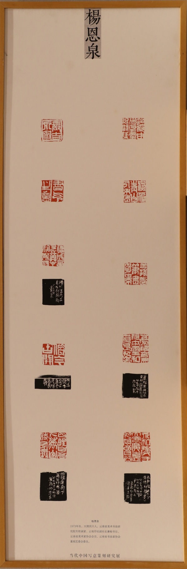 杨恩泉(1).jpg