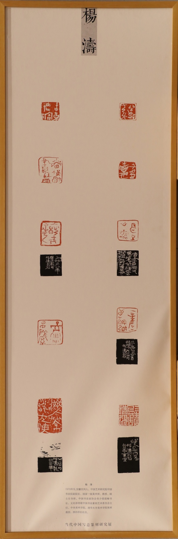 杨涛(1).jpg