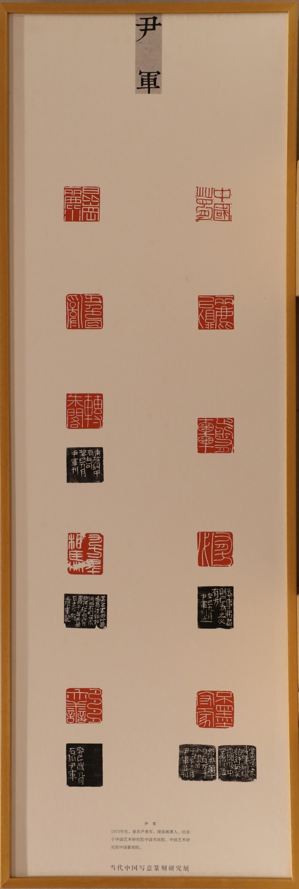 尹军(1).jpg