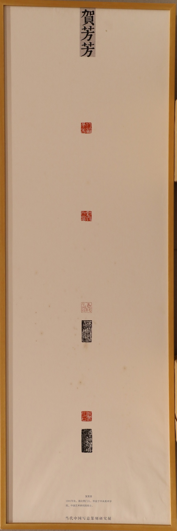 贺芳芳(1).jpg