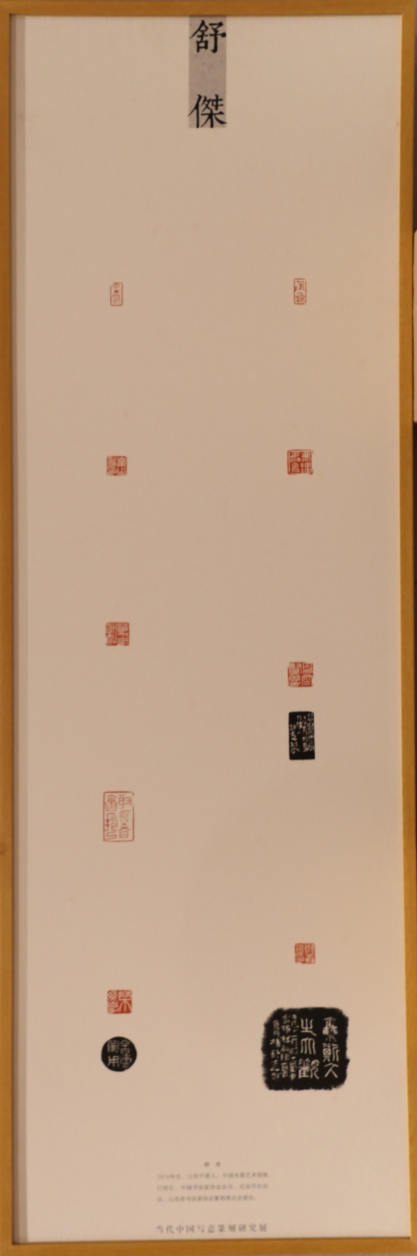 舒杰(1).jpg