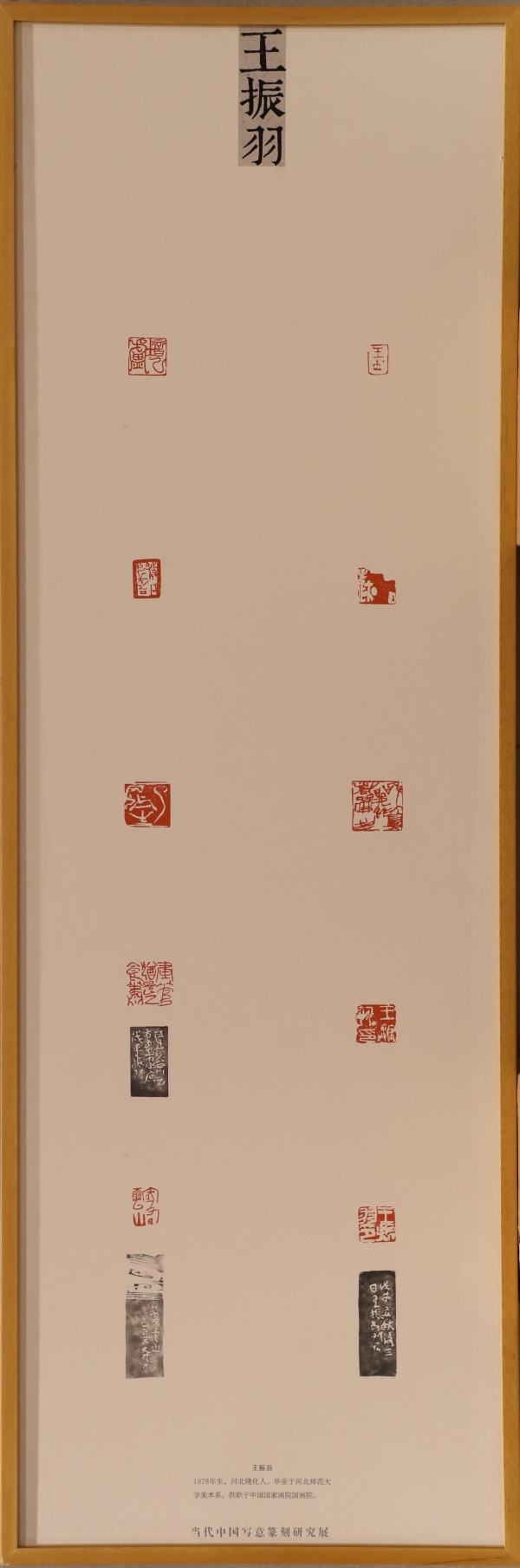王振羽(1).jpg