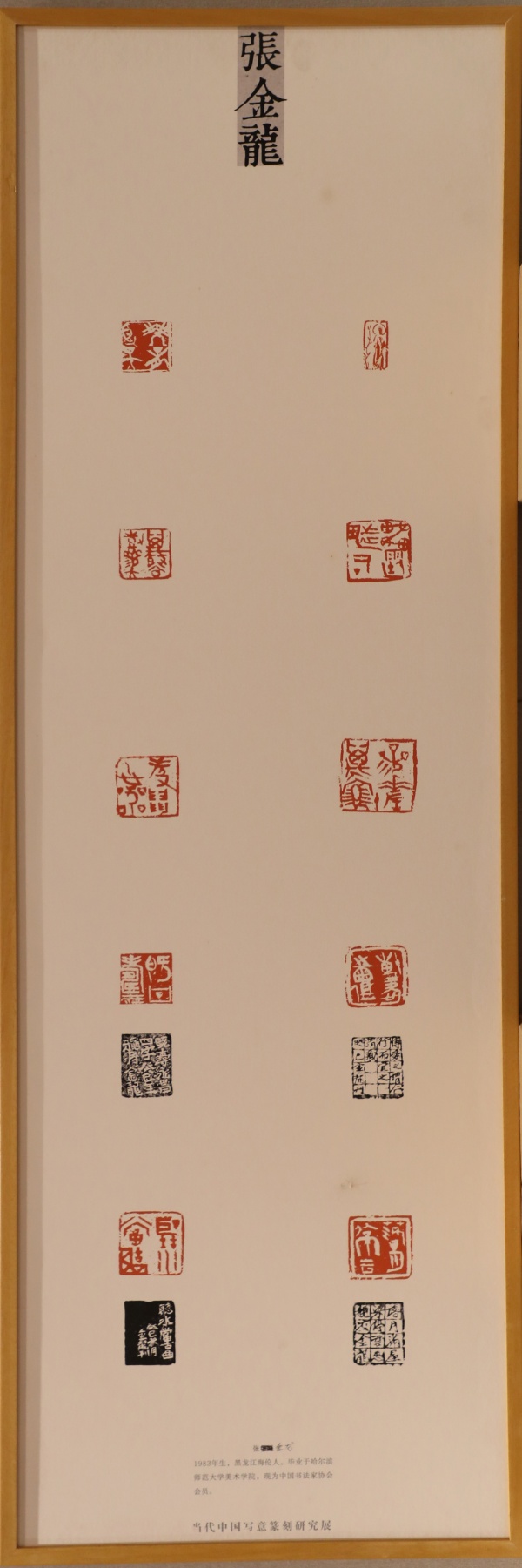 张金龙(1).jpg