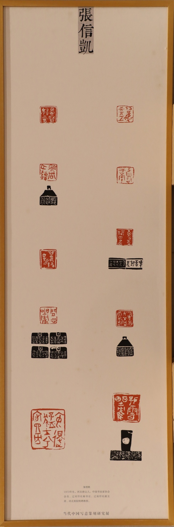 张信凯(1).jpg