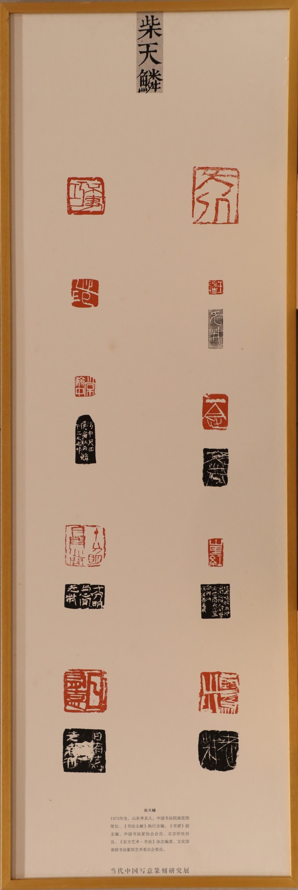 柴天麟(1).jpg